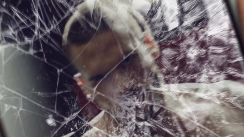 Abraham Alvarez Gonzalez